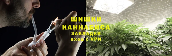 ALPHA PVP Елизово