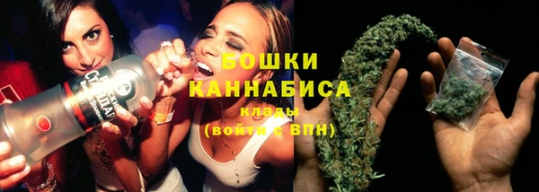 твердый Ельня