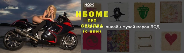 твердый Ельня