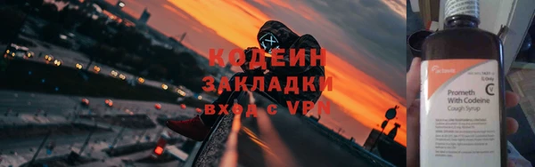 твердый Ельня