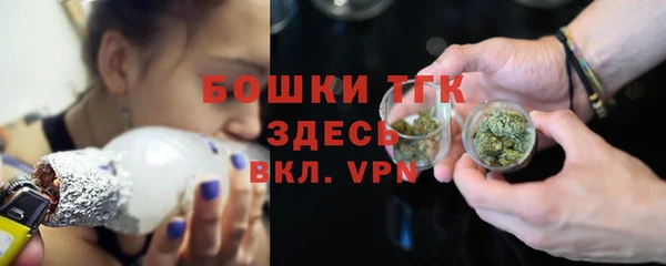 ALPHA PVP Елизово