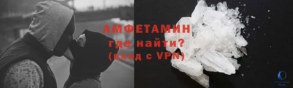 твердый Ельня