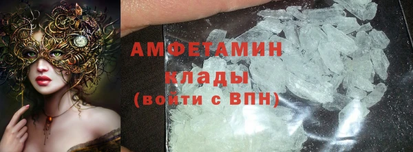твердый Ельня