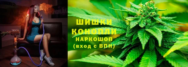 твердый Ельня