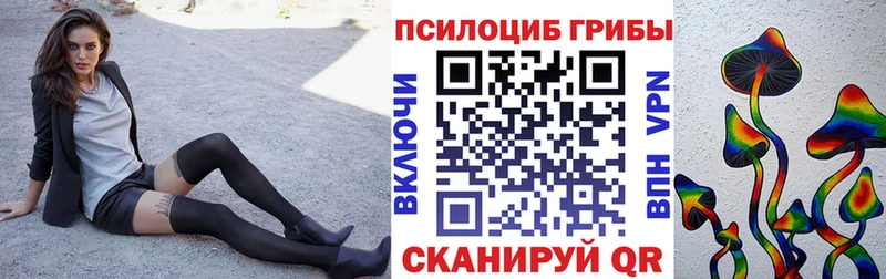 Галлюциногенные грибы Psilocybe  Отрадное 